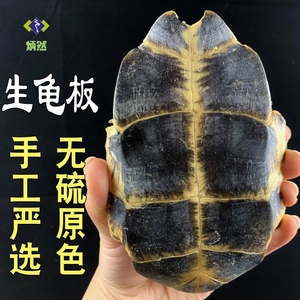 龟板500克g生龟板片龟下甲龟底板非野生醋龟板中药材免费磨龟板粉
