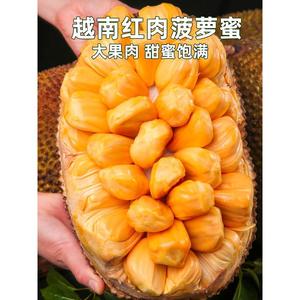 越南进口红肉菠萝蜜10斤一整个新鲜红心脆甜水果整箱包邮波罗密