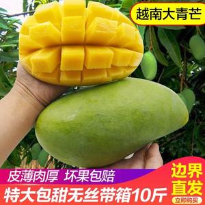 越南进口大青芒大金煌应季新鲜水果大芒果带箱10斤大青芒果3/5斤