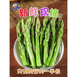 芦笋新鲜现挖5斤云南嫩青笋绿鲜芦笋嫩当季蔬菜包邮卢笋顺丰空运