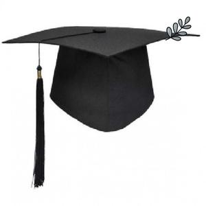 博士帽毕业典礼帽学位帽,学士帽成人礼帽硕士学位导师帽子可定制