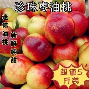4月应季水果珍珠枣油桃脆甜枣味小桃子5斤孕妇水果早桃纯甜新鲜枣