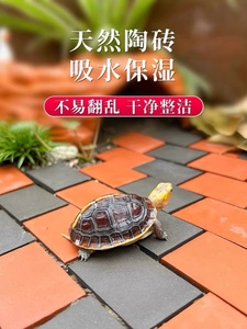 黄缘龟专用造景砖黄缘安缘乌龟垫材半水龟缸龟箱装饰小青砖红砖