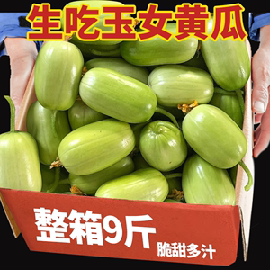 现摘玉女黄瓜新鲜水果拇指黄瓜生吃脆甜爽口当季自然熟小黄瓜整箱