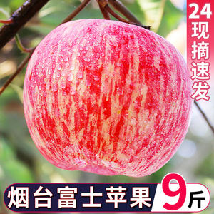 山东烟台红富士苹果新鲜水果应当季整箱栖霞脆甜冰糖心10丑平果