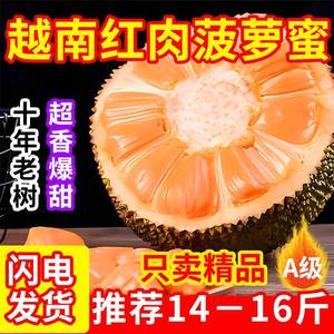 红肉菠萝蜜一整个越南进口新鲜水果包邮应季红心波罗蜜干苞一整箱