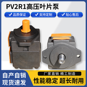 高压叶片泵PV2R1液压油泵PV2R2定量液压泵头PV2R3总成配件进口泵