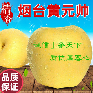 烟台黄元帅苹果10斤粉面沙新鲜水果黄香蕉苹果老人孕妇黄金帅刮泥