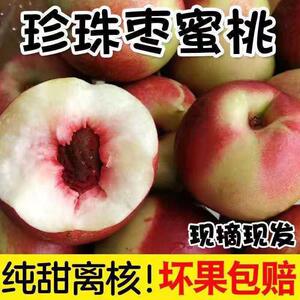 珍珠枣油桃云南现摘甜蜜桃珍珠早小油桃当季纯甜新鲜水果节日礼品