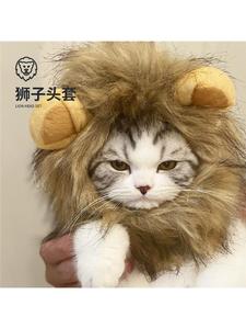 猫猫头套可爱2024网红猫咪狮子小帽子兔耳朵搞怪假发圣诞装扮宠物