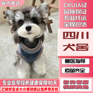 【四川犬舍】纯种雪纳瑞幼犬迷你型活狗小体犬椒盐色宠物出售狗狗