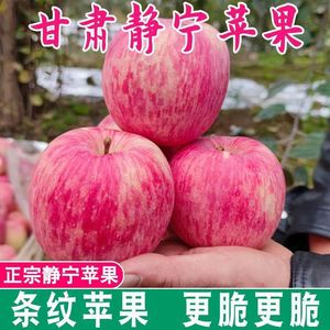甘肃静宁红富士苹果冰糖心官方旗舰店苹果一级大果30斤整箱灵