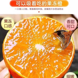四川青见柑橘果冻橘新鲜孕妇水果应当季整箱蜜橘子桔子包邮