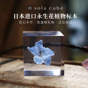 新款推荐日本宙Sola cube永生花樱花植物标本立方创意生日礼物送