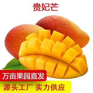 广西贵妃芒果树上熟当季新鲜热带水果整箱5/10斤红金玉青煌甜台芒