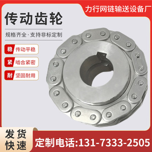 304不锈钢传动齿轮工业非标齿轮耐温机械传动设备配件大齿轮定制