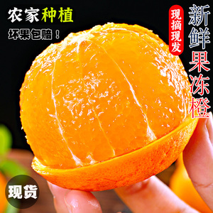 正宗四川青见果冻橙新鲜现摘10斤手剥柑橘子特产当季水果大桔子
