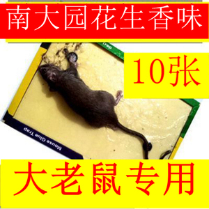 10张老鼠贴强力粘鼠板超强耗子花生味灭老鼠家用砧板胶帖占药纸。