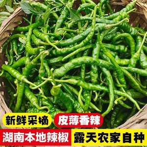 青椒辣椒新鲜薄皮香特辣皱皮二荆条线椒小农家自种湖南本地土辣椒