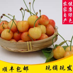 现货现摘车厘子大樱桃 孕妇新鲜水果山东自种黄蜜黄水晶雷尼超甜