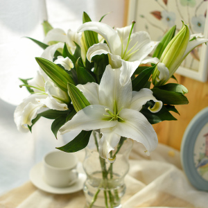 香水百合鲜花云南昆明斗南基地鲜切花10支直发黄天霸家用大头花束