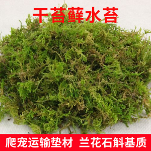 水苔蝴蝶兰专用种植干苔藓营养土育苗爬宠乌龟青苔铁皮石斛铺面