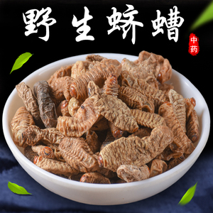 正宗蛴螬500g特级中药材土蚕老母虫鸡婆虫白时虫鸡母虫另有蚕蛹