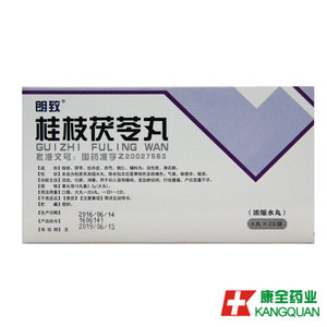 朗致 桂枝茯苓丸(浓缩水丸) 6丸*20袋/盒
