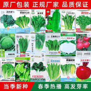 蔬菜种籽大全四季青菜香菜籽种夏季耐热菜种子白菜生菜孑黄瓜番茄