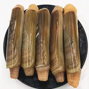 北京闪送 500g 6-10只/斤 鲜活蛏子王海鲜水产特大双头蛏无沙蛏王