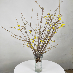 腊梅花新鲜枝条插花泡水开花水养切花客厅蜡梅鲜花带花苞发货包邮