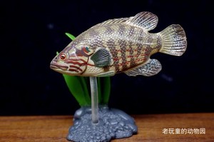 绝版 日本yujin出品原色淡水鱼图鉴2代改订版单卖——川目少鱗鱖