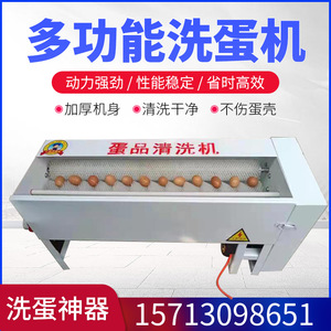 全自动商用蛋品清洗机小型毛刷双排两用水循环咸鸭蛋黄泥蛋洗蛋机