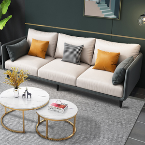 免洗科技布沙发小户型单人双人现代简约乳胶布艺北欧客厅组合家具