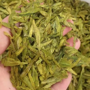 平阳早香茶品种特别香特级明前茶适合送礼新昌大佛龙井绿茶炒青罐
