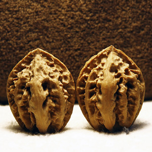 东北野生大秋子大粗筋