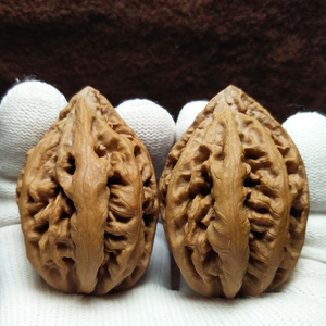 东北野生大秋子大粗筋