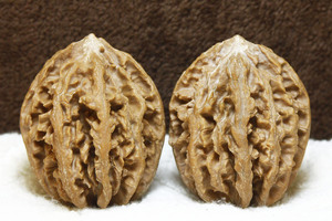 东北野生精品水龙纹大宽边虎头秋子楸子文玩核桃珍品收藏包邮