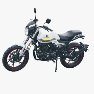 【定金】鑫源摩托整车dg250-牧羊人---【全款】9980元