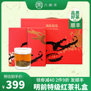 六雨红茶礼盒装茶叶 2021特级小种功夫早茶溧阳天目湖特产茶192g