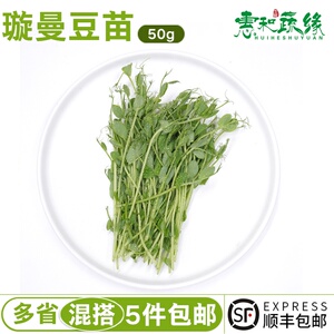 新鲜水培璇蔓豆苗50g 西餐冷饮摆盘装饰素食沙拉食材豌豆苗