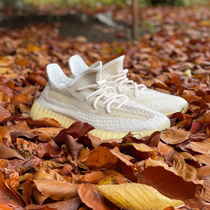 yeezy巴斯夫真爆椰子350v3氧化天使满天星男女反光鞋带跑步情侣鞋