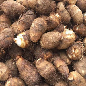 农家自种牛奶白芋头小毛芋仔5斤软滑粉糯艿芋湖南郴州特产新鲜菜