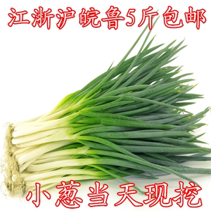 包邮苏北鲁南特产农家现挖新鲜蔬菜土葱小葱小白葱 无农药