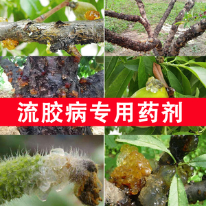 农药桃树流胶病专用药蔬菜果树黄瓜腐烂病溃疡病甲基硫菌灵杀菌剂