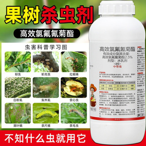 果树杀虫剂农药高效氯氰氟菊酯柑橘树桔树蔬菜花卉专用杀虫剂大全