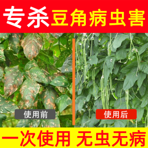 豆角专用农药锈病叶斑黄叶病杀虫剂杀菌剂专用药病毒一遍净杀虫药