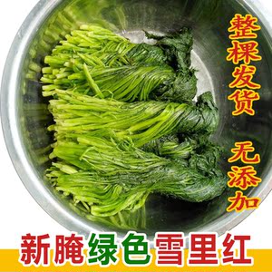 新腌绿色雪里红1500克咸雪里蕻雪菜泡菜农家自制下饭咸菜无添加