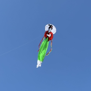 89同款货源飞翔鲁鸢淘宝仙女风筝微风易飞大美人风筝潍坊大型专业