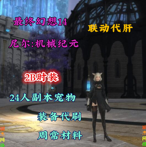 最终幻想14ff14代练肝尼尔联动外观装备2b2p时装宠物希望炮台塔